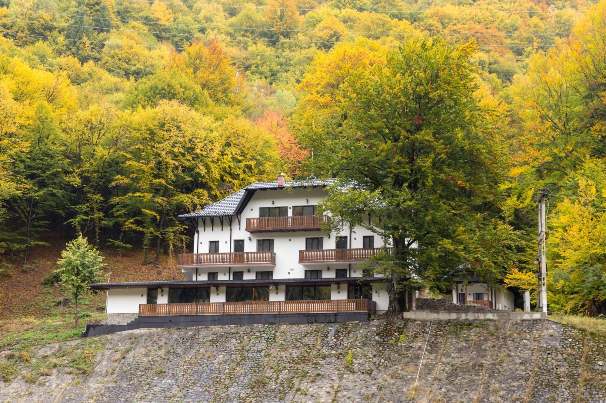 Poiana Mucenicului Hotel อาเรฟู ภายนอก รูปภาพ